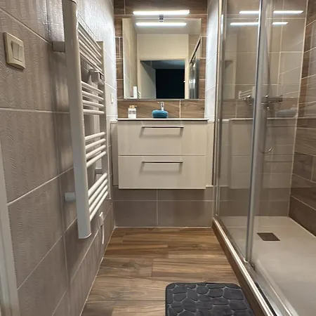 Havre De Paix Climatise Parking T2 דירה לורדה